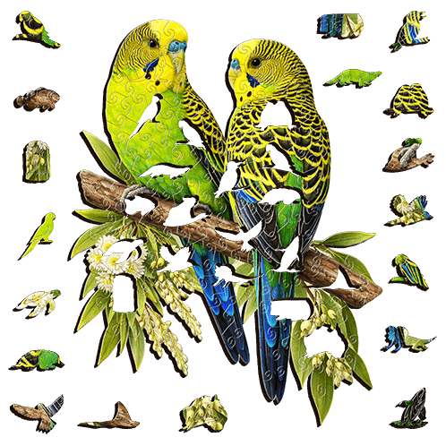 A5 Wild Budgies Wooden Puzzle - Puzzle ART