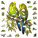 A5 Wild Budgies Wooden Puzzle - Puzzle ART