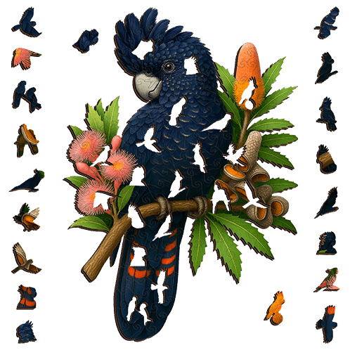 A5 Black Cockatoo Red Tail Wooden Puzzle - Puzzle ART