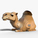 Camel - EUGY2