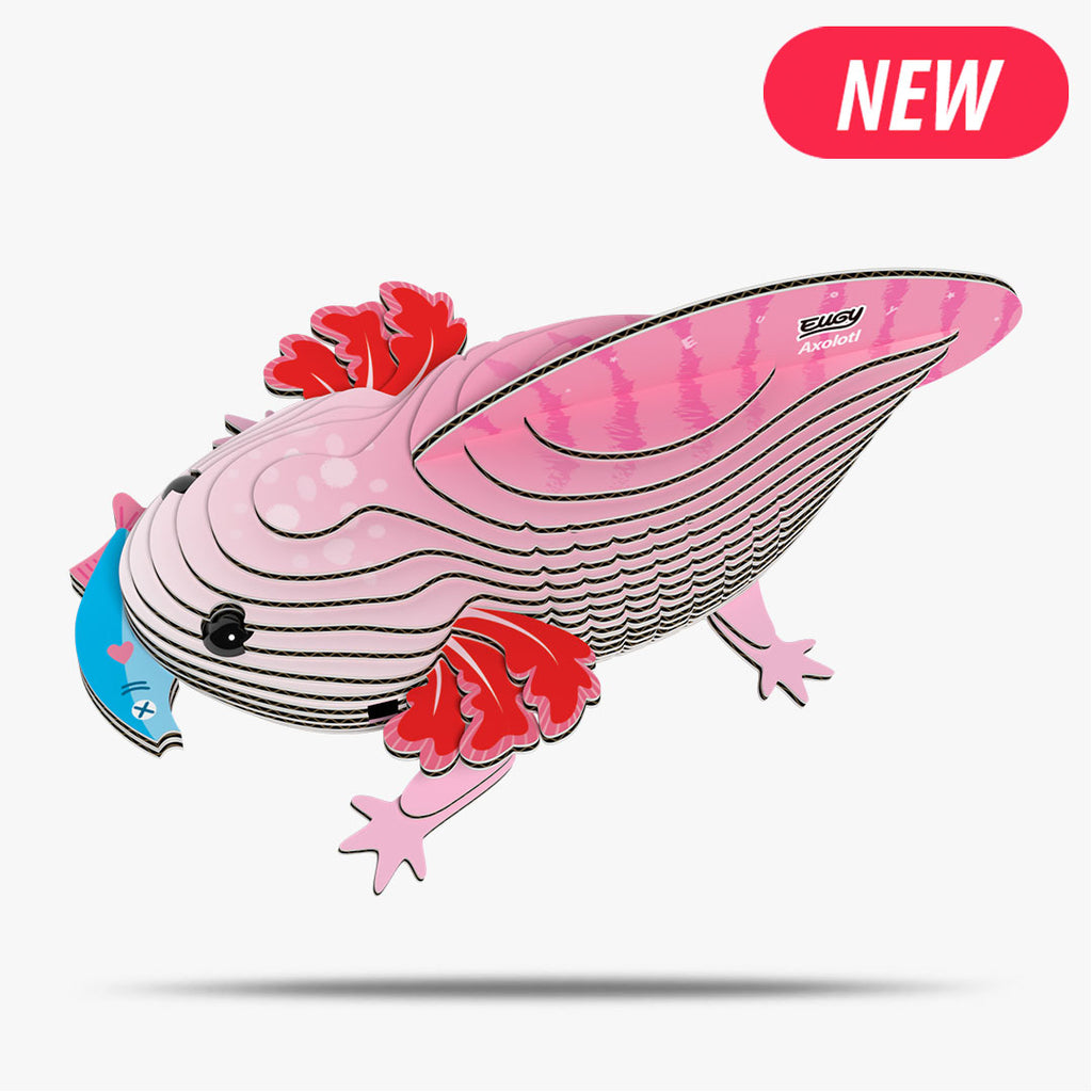 Axolotl - EUGY2