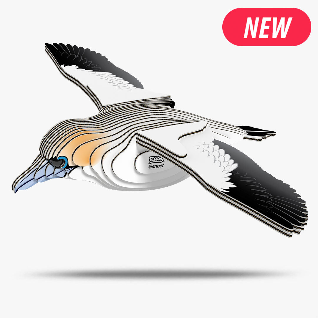 Gannet - EUGY2