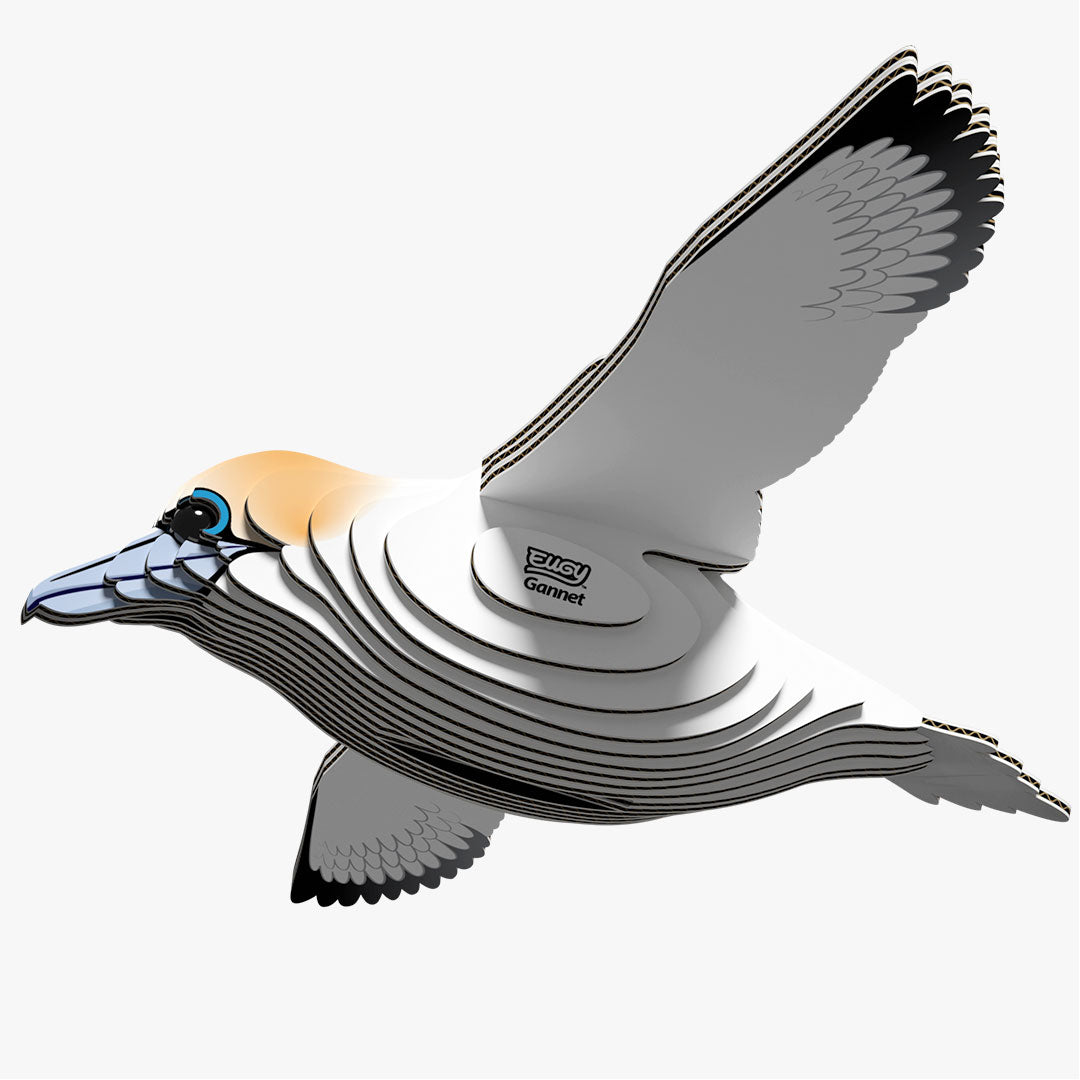 Gannet - EUGY2