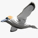 Gannet - EUGY2