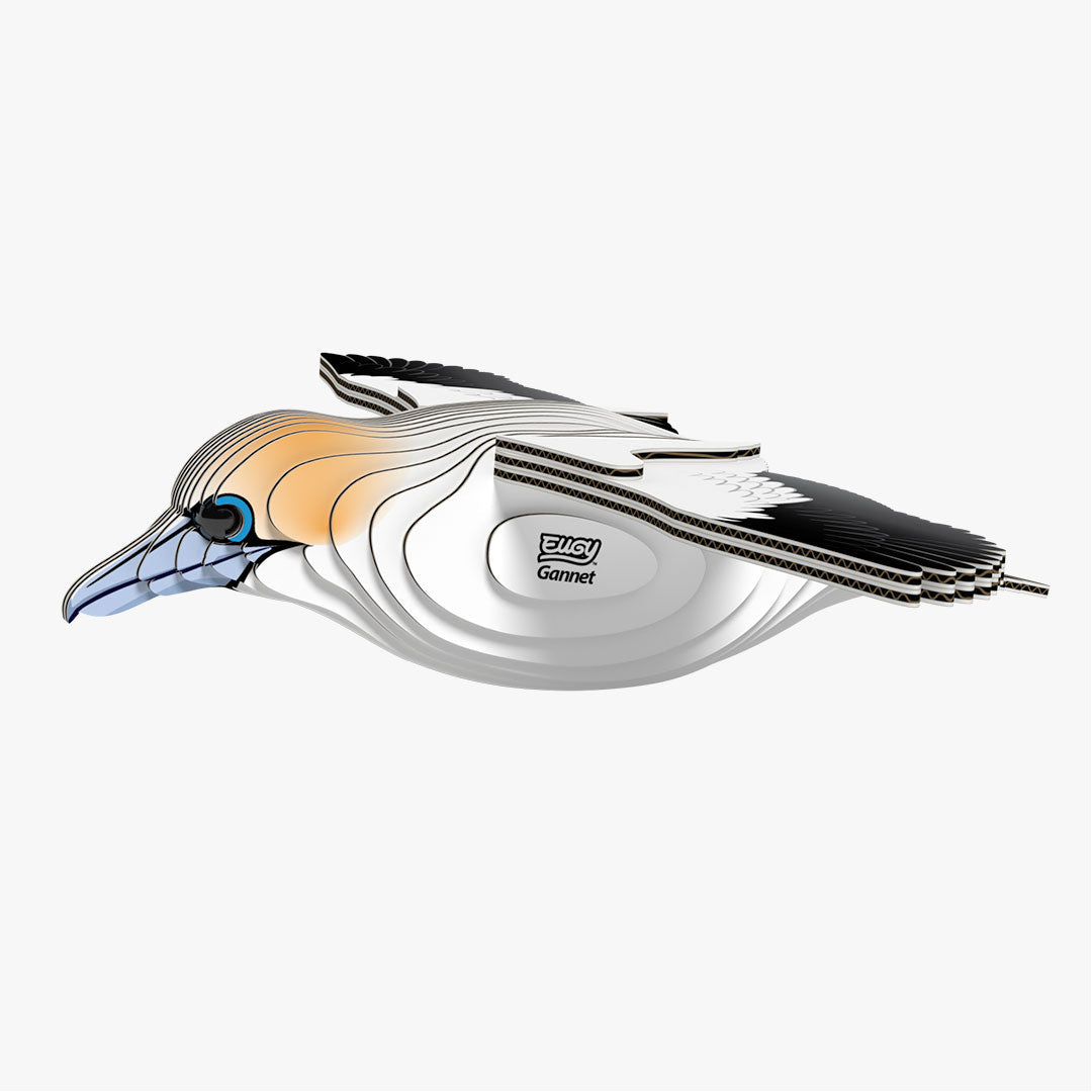Gannet - EUGY2