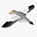 Gannet - EUGY2