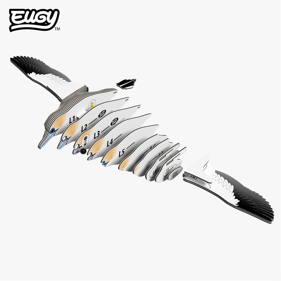 Gannet - EUGY2