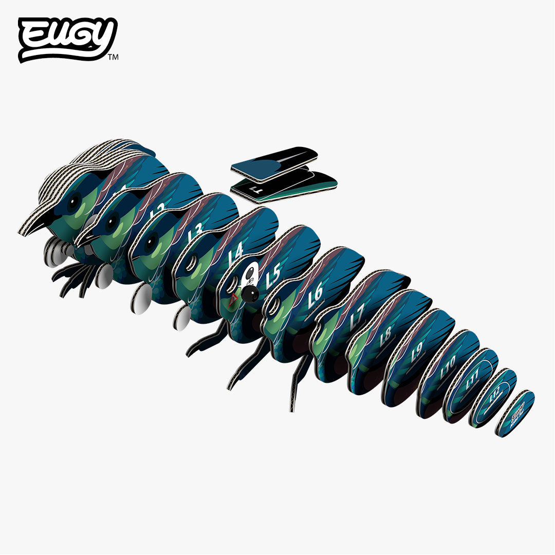 Koko Tui - EUGY2
