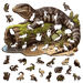 A3 Sandstone Goanna Wooden Puzzle - Puzzle ART