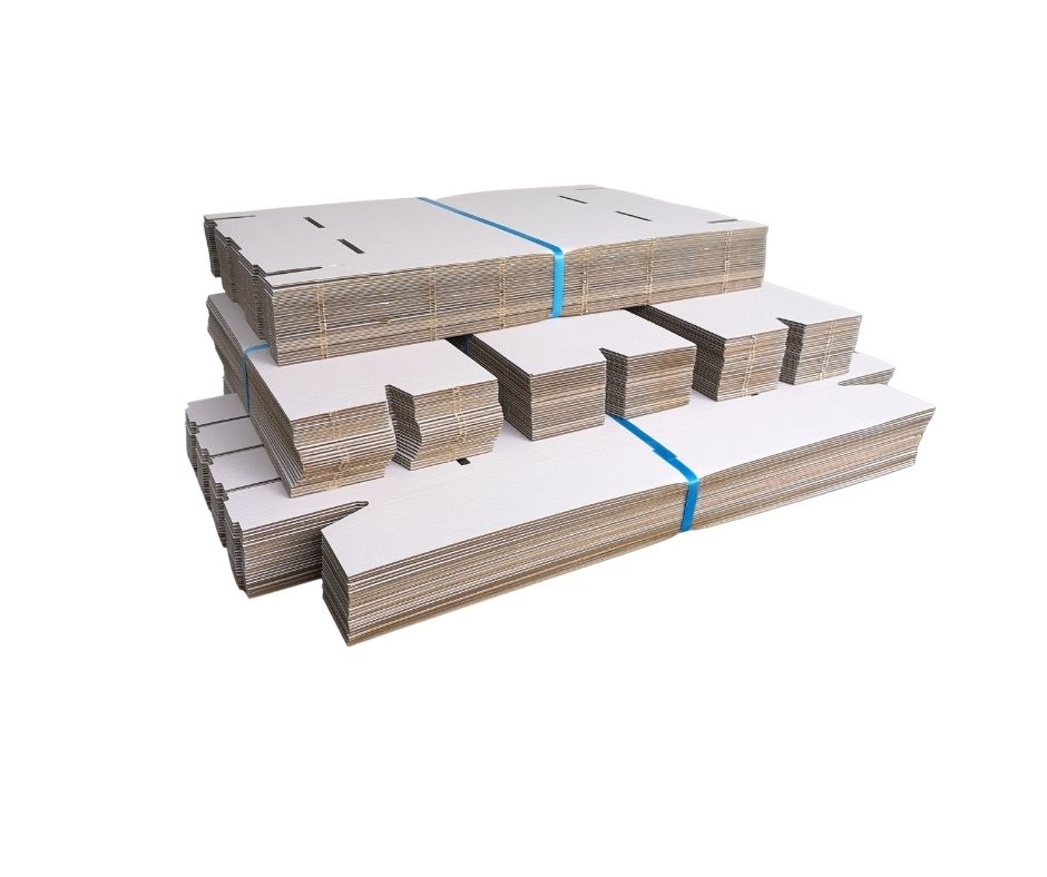 Card Case 3200pt LPG Essentials (25pack)