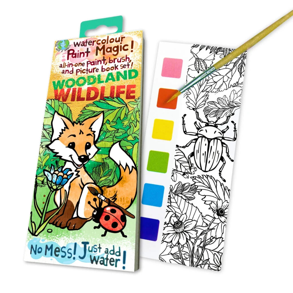 Paint Magic-Woodland Wildlife
