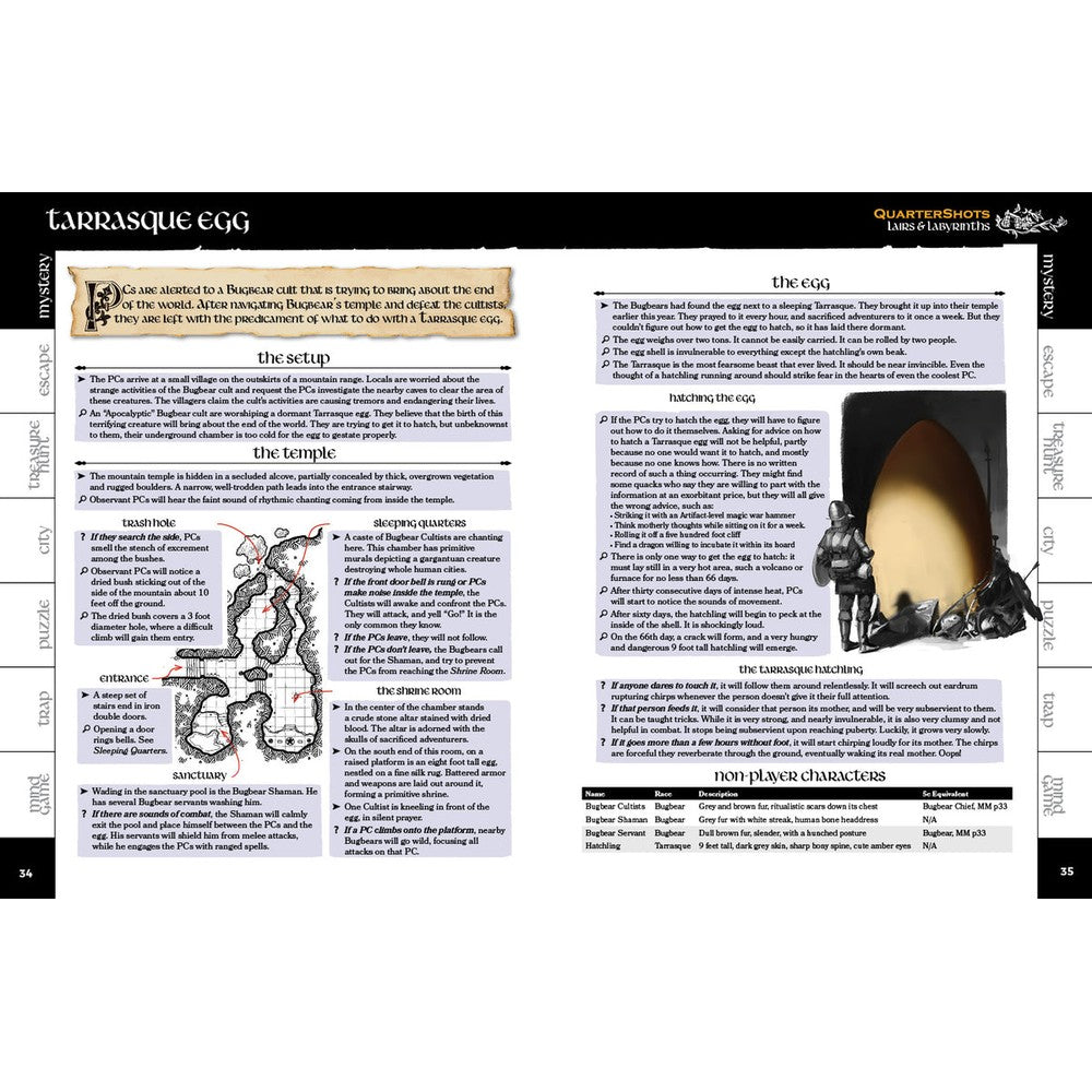 Lairs and Labyrinths - Quartershots