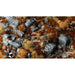 Gamers Grass Brown 2mm Wild