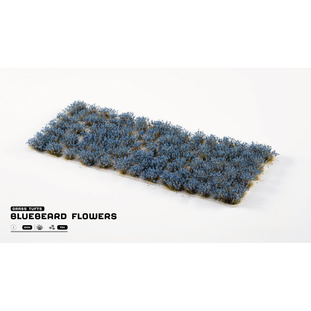 Bluebeard Flowers Gamer's Grass