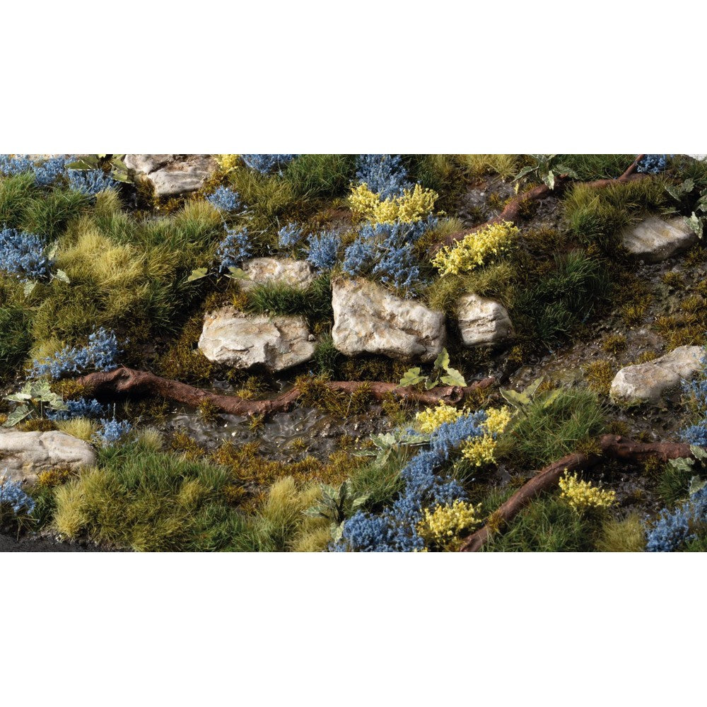 Bluebeard Flowers Gamer's Grass