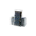 Bluebeard Flowers Gamer's Grass