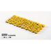 Broom Flowers Gamer's Grass