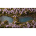 Lavender Flowers Gamer's Grass