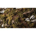 Dark Green Shrubs Gamer's Grass