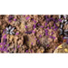 Alien Purple Tiny Tufts Gamer Grass