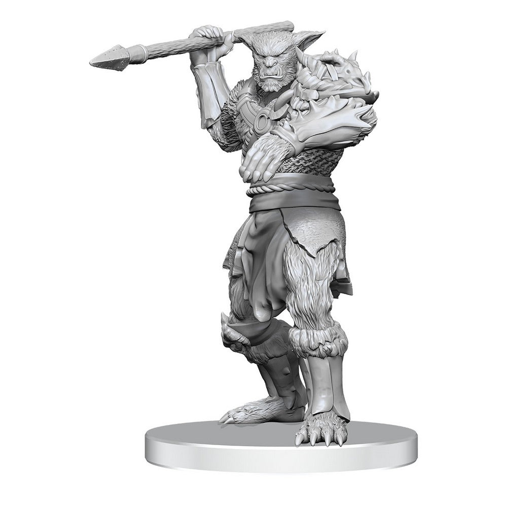Bugbear Stalker & Goblin Hexer D&D Nolzurs Marvelous Miniatures