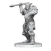 Bugbear Stalker & Goblin Hexer D&D Nolzurs Marvelous Miniatures