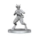 Satyr & Dryad - D&D Nolzurs Marvelous Unpainted Miniatures