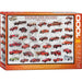 VINTAGE FIRE ENGINES 1000pc