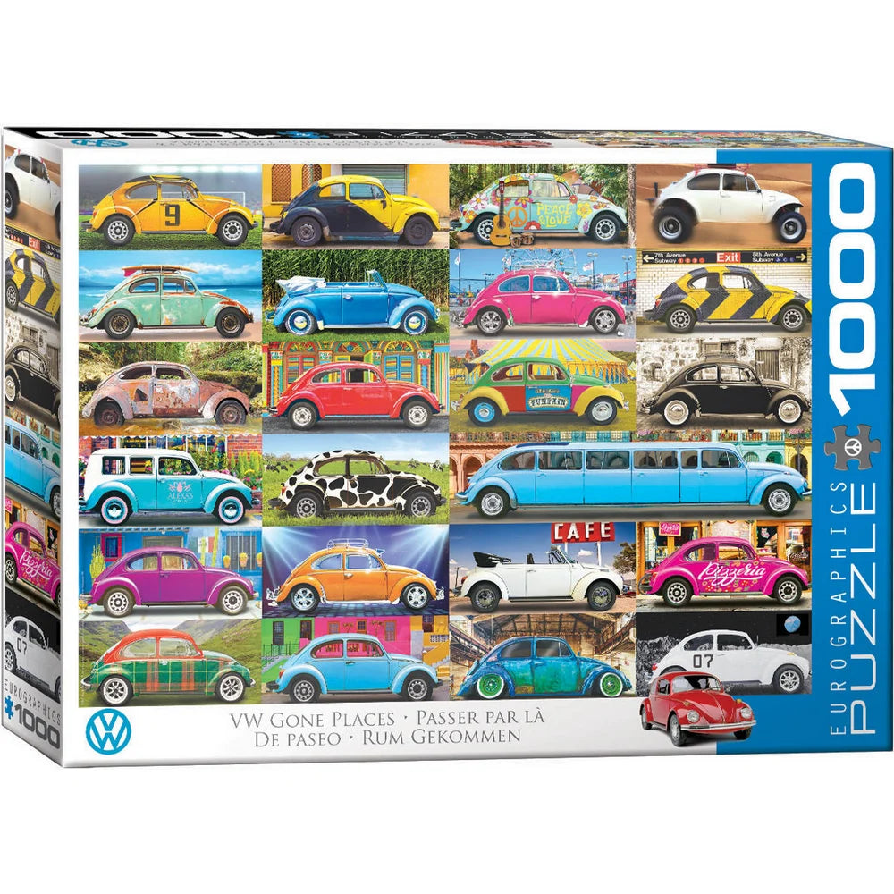 VW Beetle Gone Places