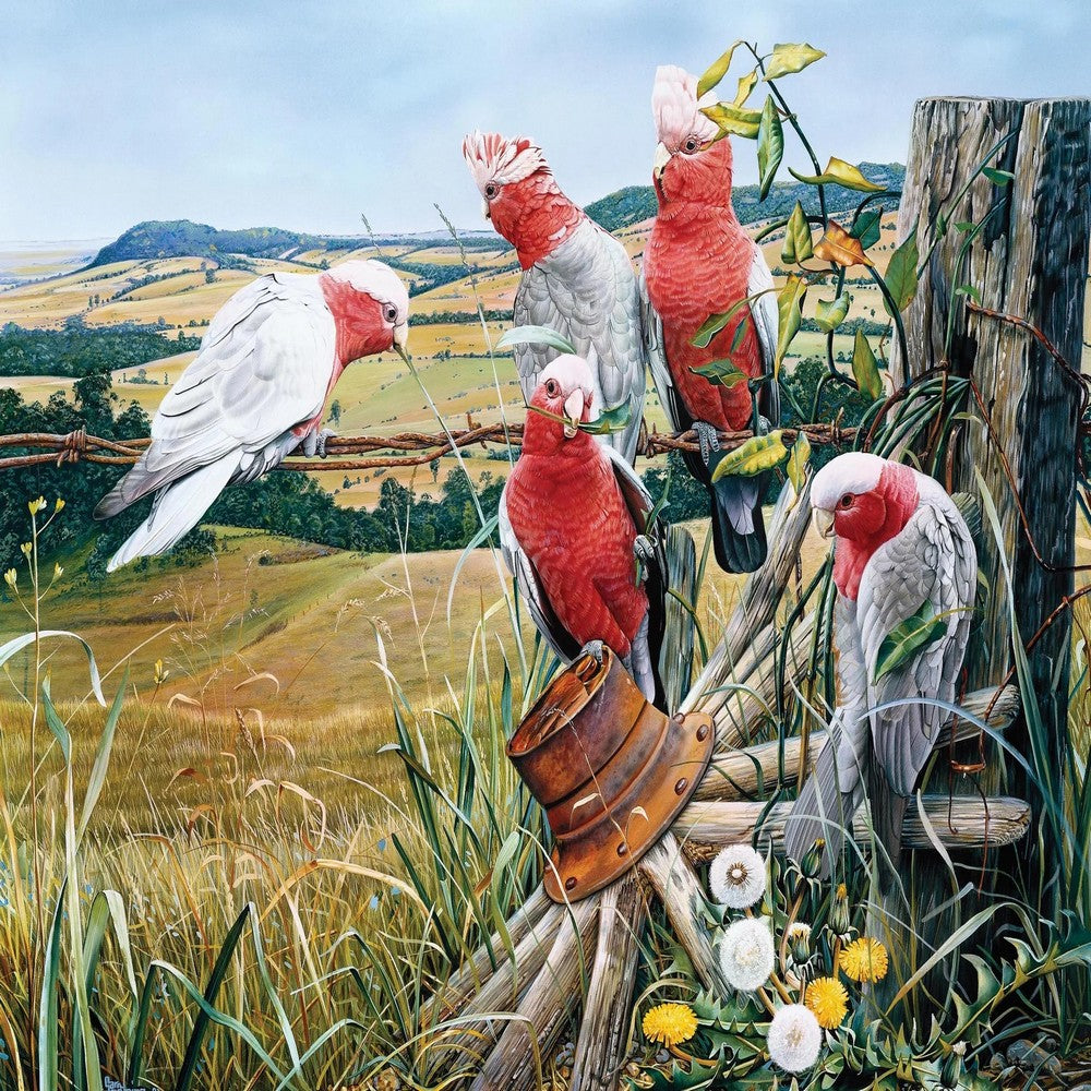 Galah Quinted - Garry Fleming 1000pc Puzzle