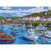 Aberaeron Cardigan Bay - Gibsons - 1000 pce