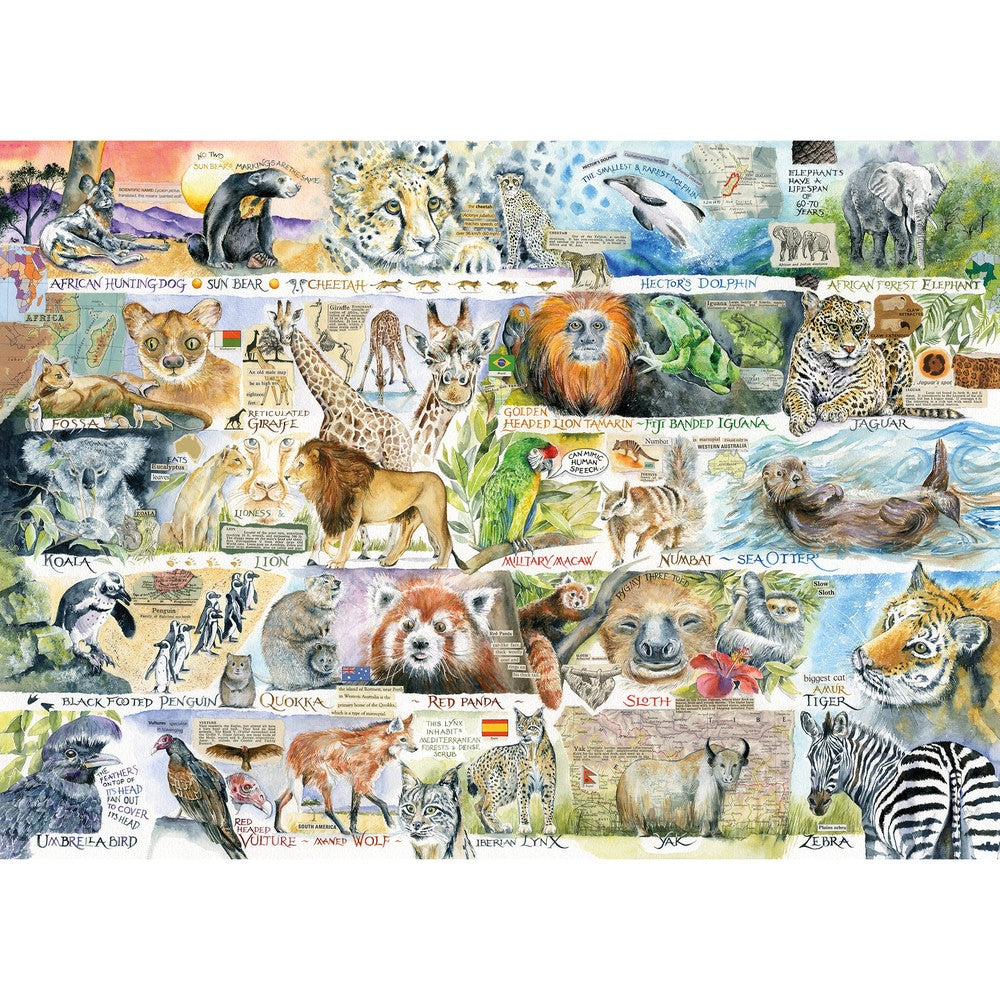 Sun Bears & Sloths 1000pc - Gibsons