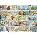 Sun Bears & Sloths 1000pc - Gibsons