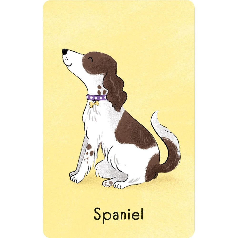 Dog - Snap