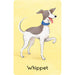 Dog - Snap