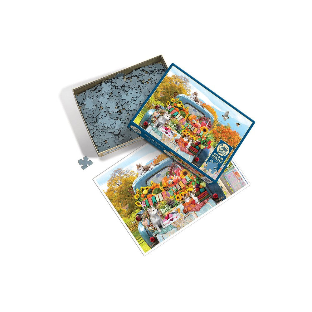 Country Truck in Autumn 500pc