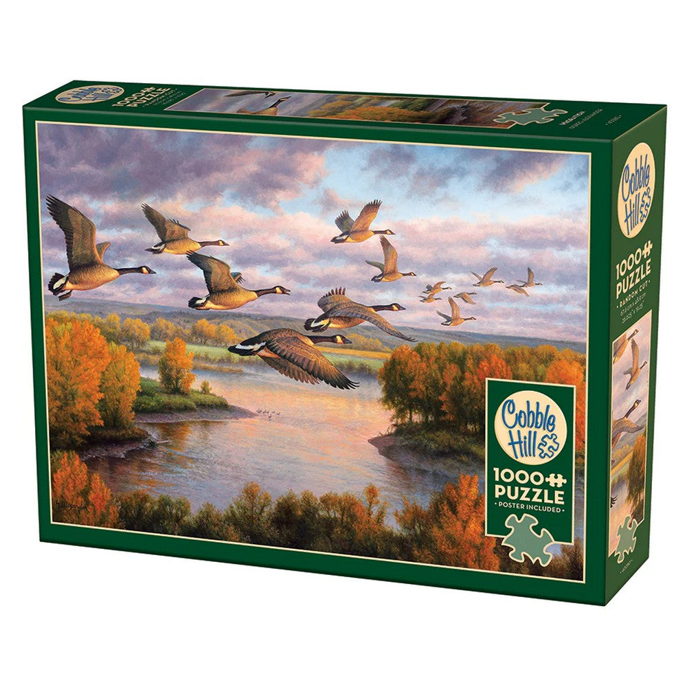 Migration 1000pc - Cobble Hill