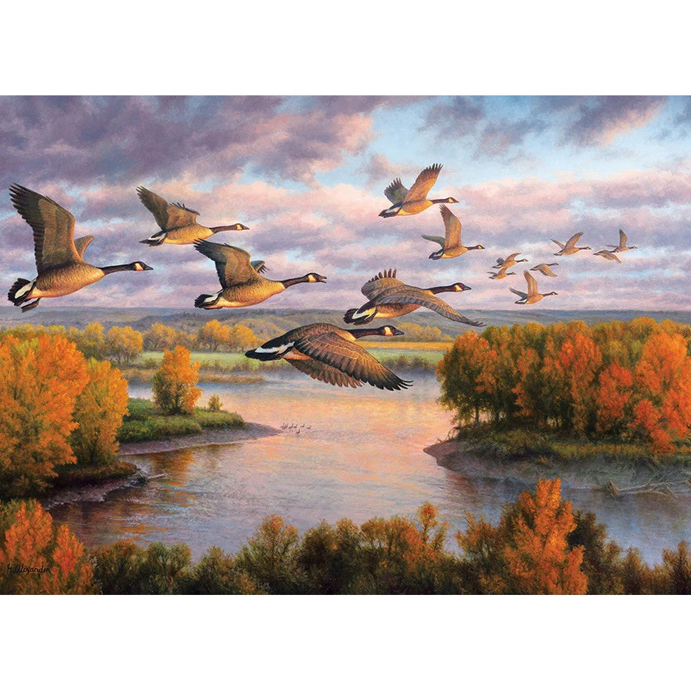 Migration 1000pc - Cobble Hill