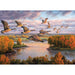 Migration 1000pc - Cobble Hill