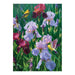 Spring Glory 1000pc - Cobble Hill