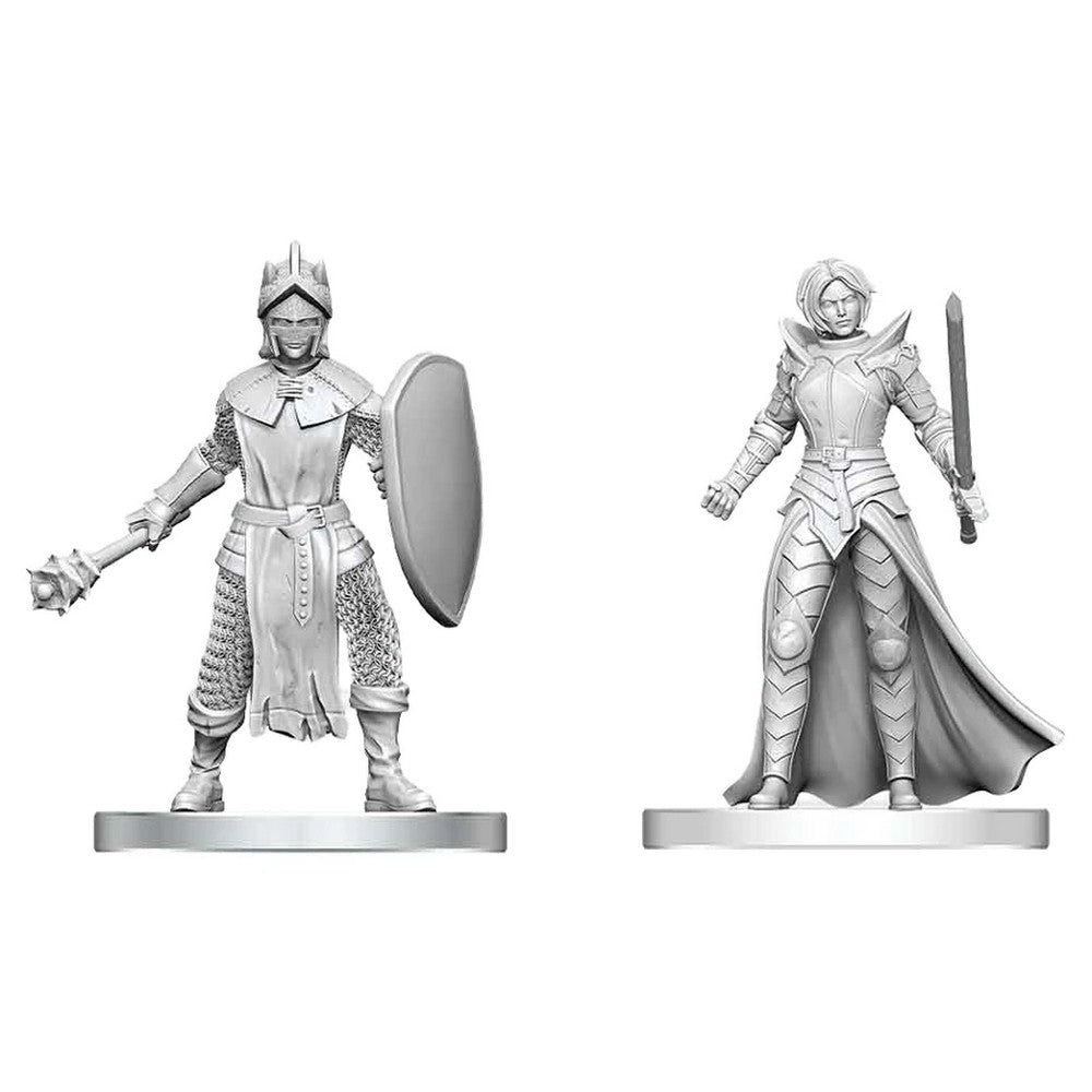 Black Gauntlet & Zhentilar Paladin of Bane - D&D Nolzurs Marvelous Miniatures