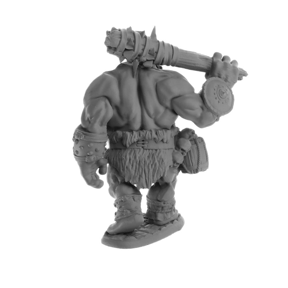 Ogre Guard - Reaper Bones Dungeon Dwellers
