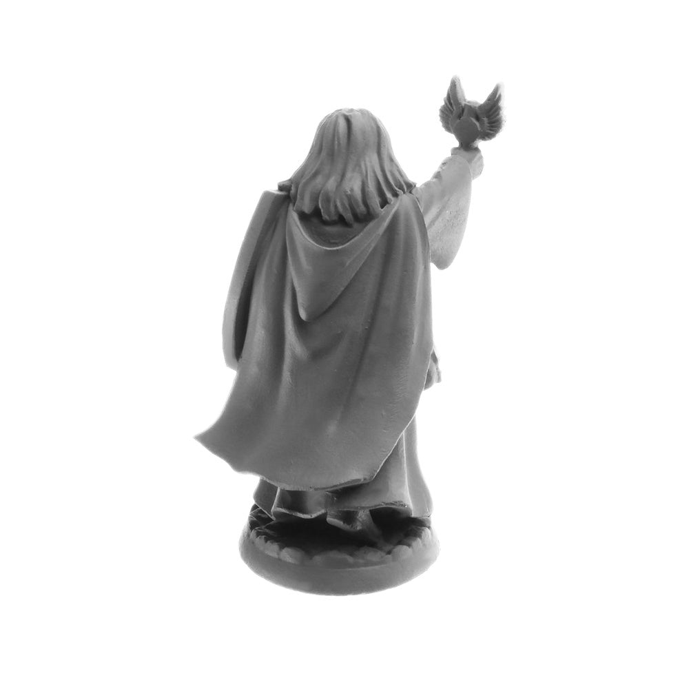 Thess Ironfaith (female) - Reaper Bones Dungeon Dwellers