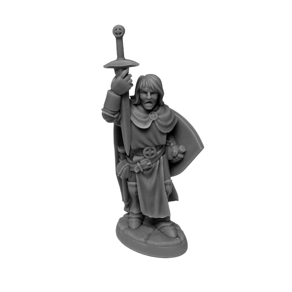 Sir Danarel the Holy: Reaper Dungeon Dwellers