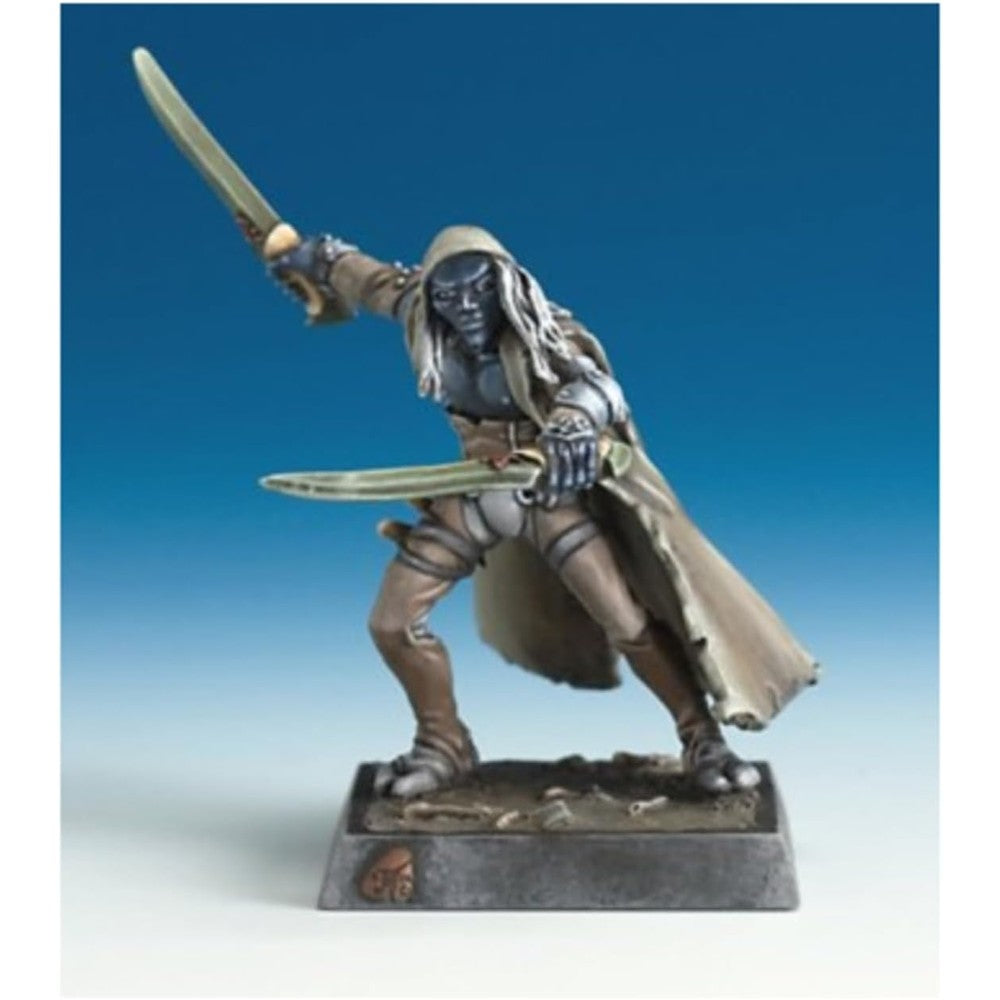 Tharnyx Shadeborn, Elf Rogue Reaper: Bones USA Dungeon Dwellers