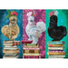 Silkies 500pc - Cobble Hill