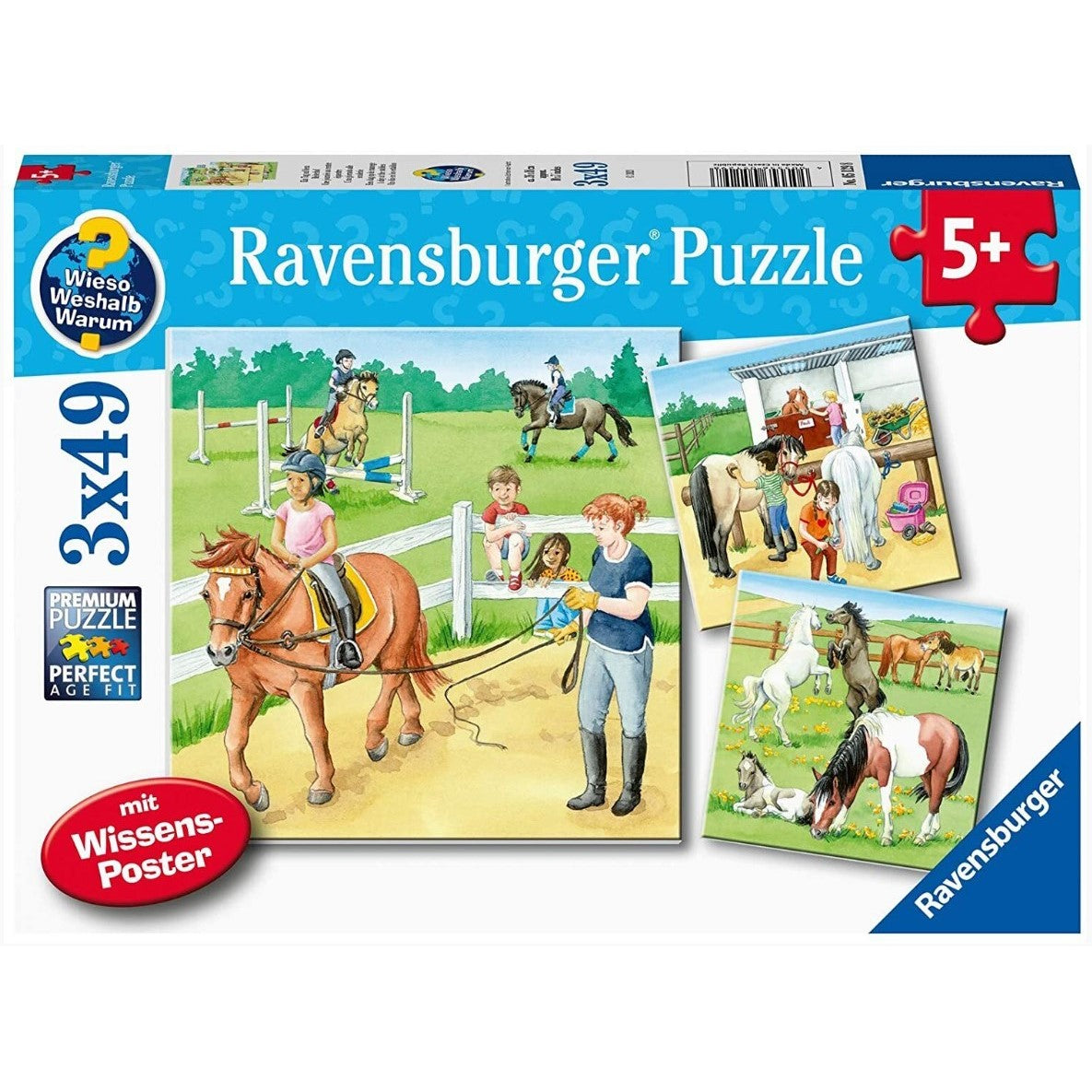 A Day at the Stables Puzzle 3x49pc