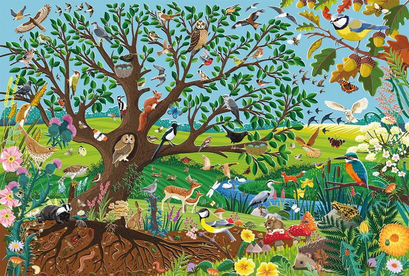 Animals In The Garden - 60P - Schmidt