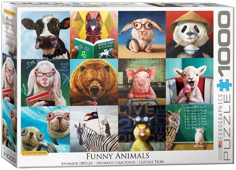 Funny Animals