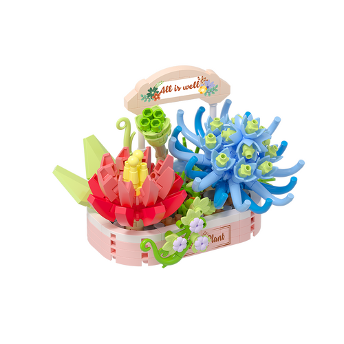 Succulent Potted Plants - Koco